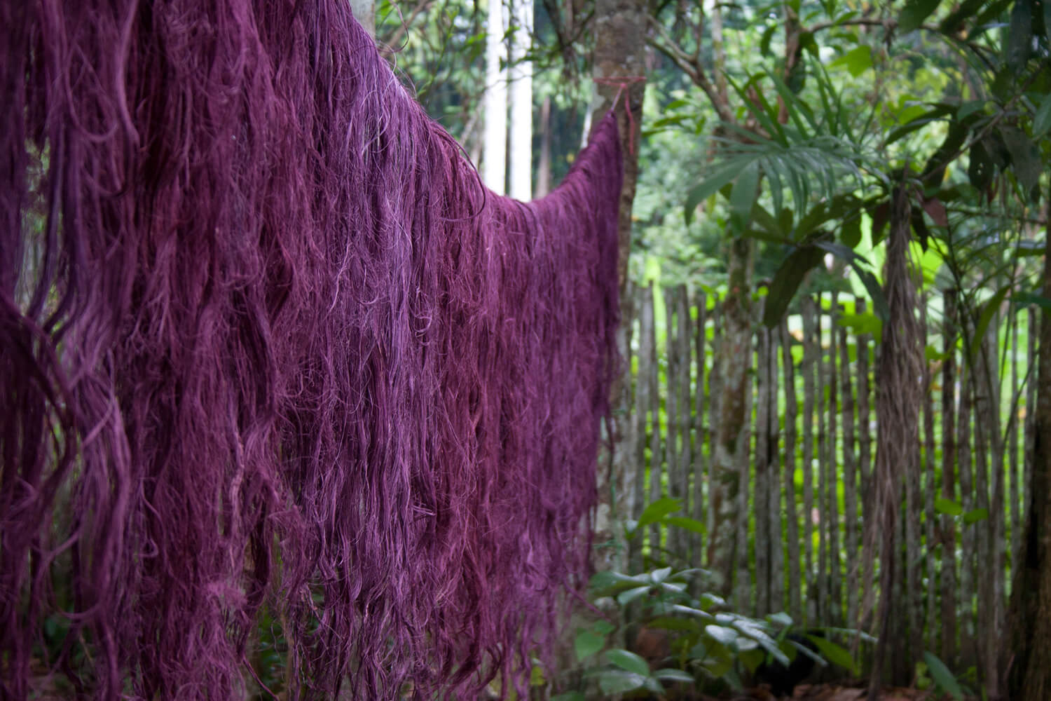 HUITILLO 55_galeria66 _MG_4284.jpg